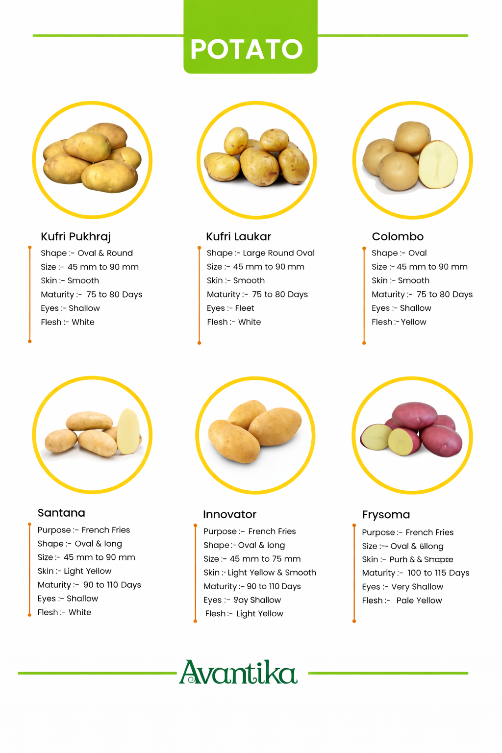 Catalog Page 2