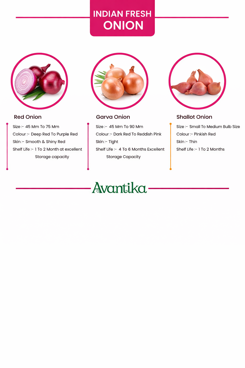 Catalog Page 3